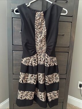 Forever Unique Black and Beige Lace-Panel Fit & Flare Mini Dress